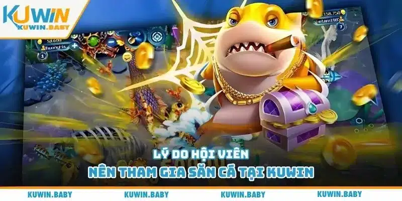 Lý do hội viên nên tham gia săn cá tại Kuwin